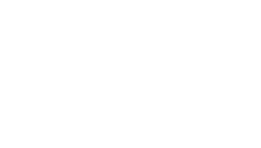 Partnerschaft mit Ford
